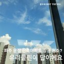 파주 신축아파트 외창 유리창 창문 청소업체. 햇살 가득, 맑은 하루를 선물한 유리클린 가격 등 레알후기
