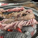 갈매기놀이터 | [금정구 맛집] 부산 고깃집, '부산갈매기' 재방문 솔직 후기/주말 웨이팅