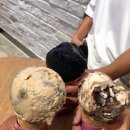 베스킨라빈스금산점