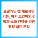 페르시안 캣 | 로얄캐닌 캣 페르시안 키튼, 아기 고양이의 긴 털과 소화 건강을 위한 영양 설계 분석