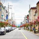 배롱나무 특화거리 이미지