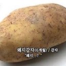 월곡역 이미지