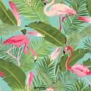 보테니컬 이미지