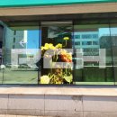 밴스의원춘천