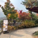 병천순대 광주식당 이미지