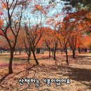 남이섬힐링캠핑장 | 가성비 챙긴 힐링! 텅장부부의 11월 가평 '글램핑 + 남이섬' 단풍 코스 추천