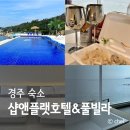 샵앤플랫 호텔 | 경주 가성비 숙소 바다 수영장 샵앤플랫 호텔