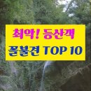 최악 등산객 골볼견 이미지