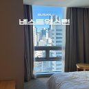 베스트웨스턴 해운대호텔 | 부산 해운대 가성비 호텔, 베스트웨스턴 부산 숙소