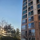 도평4리 (우림퓨전빌1차아파트) (옥내1) | 오염된욕실 스트레스에서 벗어나세요 리모델링후 줄눈시공후기(경기도광주 도평우림퓨전빌 아파트 현장)