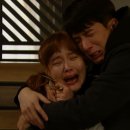 이선호 카카오 검색결과