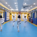 조한태권도장 이미지