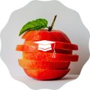 용인대학교 체육과학대학원 | 대학 소개: 용인 대학교