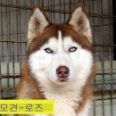 성주종합사료 네이버블로그
