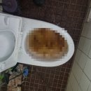 흥양로51번길 | 원주하수구 변기막힘 속시원하게 해결한 후기