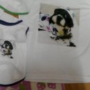 행복펜션 이미지