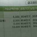 다모은플랜 이미지