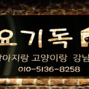 하나애견샵 이미지