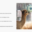 종보농장 이미지