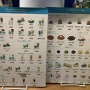 뚱뚱한크로플 이미지