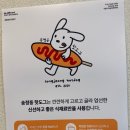 송정동-18 | 부산 아이랑 주말 나들이 [송정동 핫도그 본점] 내돈내산 후기