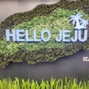 드렌도트 민박 이미지