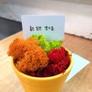 광남중학교 이미지