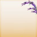 꽃이 피면 이미지