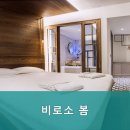 비로소봄
