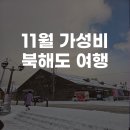 북해도 | 부모님과 아이들과 함께 떠나는 가성비 좋은 11월 일본 북해도 여행 후기