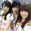 이리야마 안나 카카오 검색결과