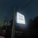 다이브스테이 이미지