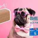 일산에이스약국 이미지