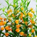 잡학다식 이미지