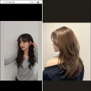 화이트홀헤어