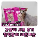 고양이 사료 대용량 잘먹잘싸 전연령 다묘가정 내돈내산 후기