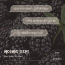 워시베이 이미지