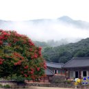 블로그만들기(중급반) 이미지