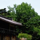 사림
