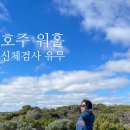 승인농장 | 2026 호주 워홀 준비 비용 0원? 신체검사 없이 비자 승인받은 후기! (나도 해당될까?!)