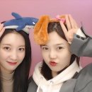 예설 이미지