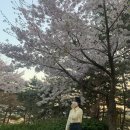 [4월 일기] 나는야… 백수 대학생