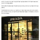 프라다, 인기 제품 최대 11% 가격 인상.."올해 두 번째 꼼수 인상" 이미지