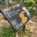 창원 편백치유의숲 유아숲체험원 이미지
