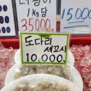 웰빙회뜨는집