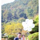 스몰데이즈