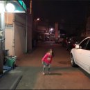 우진쭈꾸미 네이버블로그