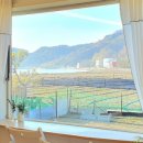 삼대한채 이미지