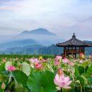 영태양광2호 이미지