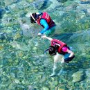 삼척장호어촌체험휴양마을 이미지